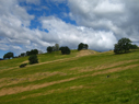 meadow on the way up from Brophy