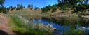 swimming pond panorama