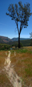 view of Cache canyon