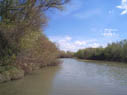 view of the creek