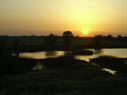 wetland at sunset