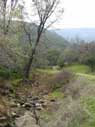 the creek out of pierce canyon