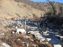 crossing Bear Creek