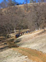 heading up the trail